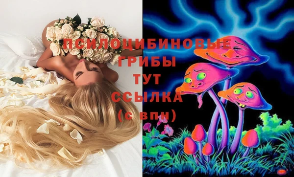 винт Козельск