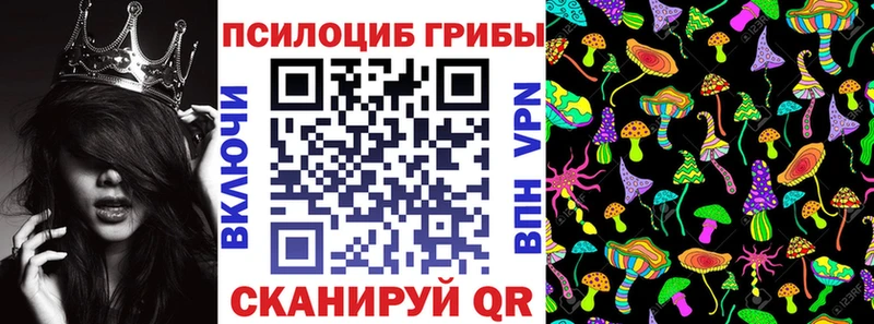 Псилоцибиновые грибы мухоморы  OMG как зайти  Медвежьегорск 